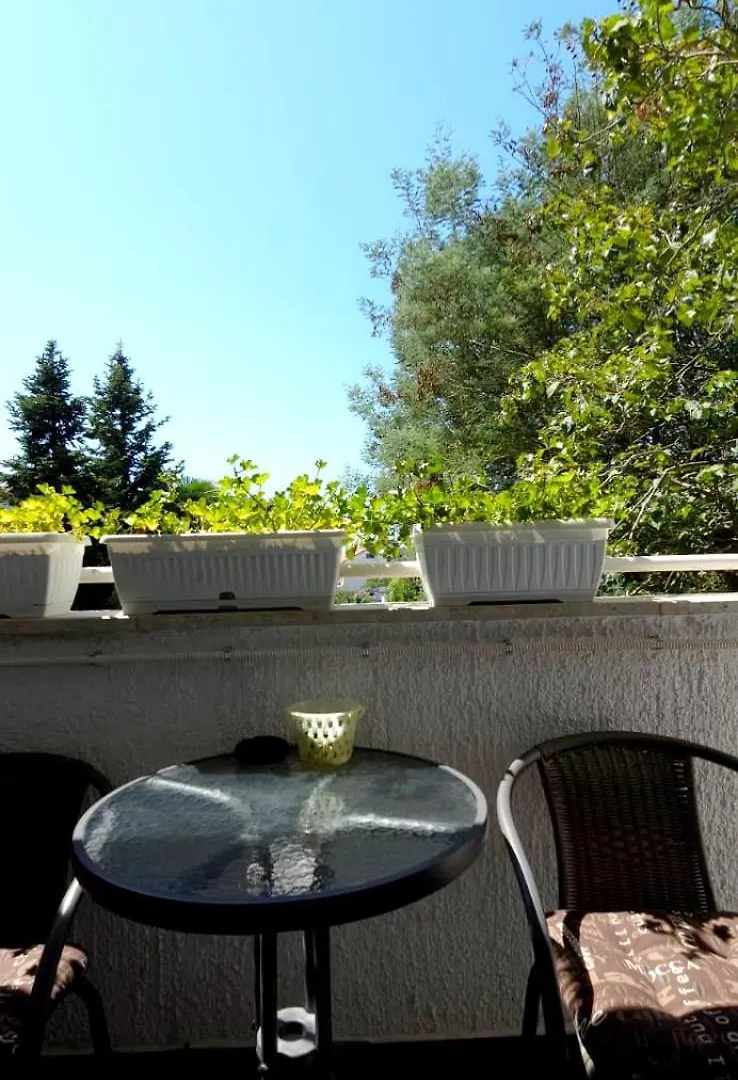 Diana Apartment Porec Croatia